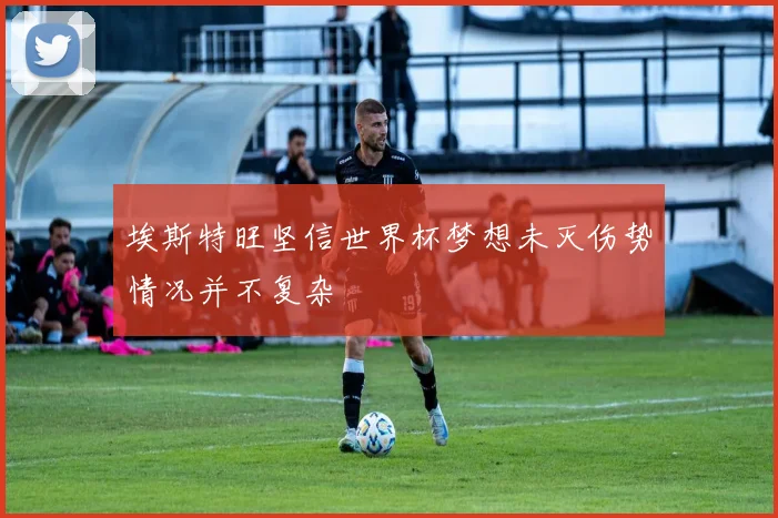 埃斯特旺坚信世界杯梦想未灭伤势情况并不复杂