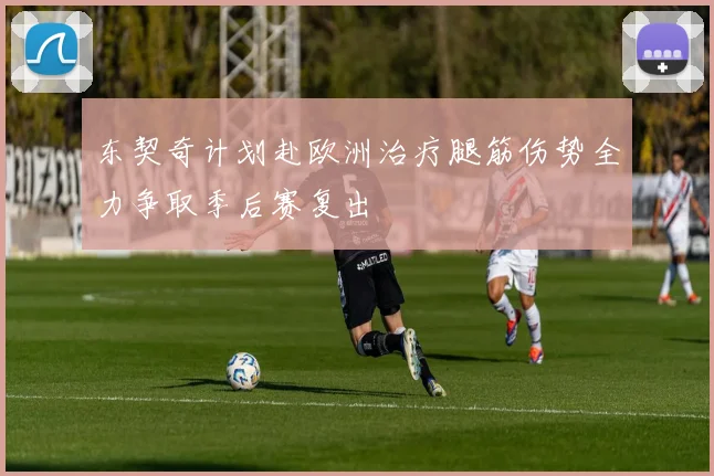 东契奇计划赴欧洲治疗腿筋伤势全力争取季后赛复出