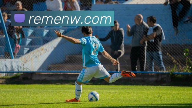 九游在线官方网站平台生态图